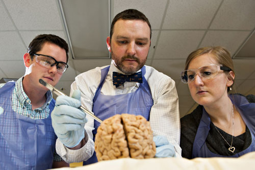 Price Blair and two students looking at a brain.