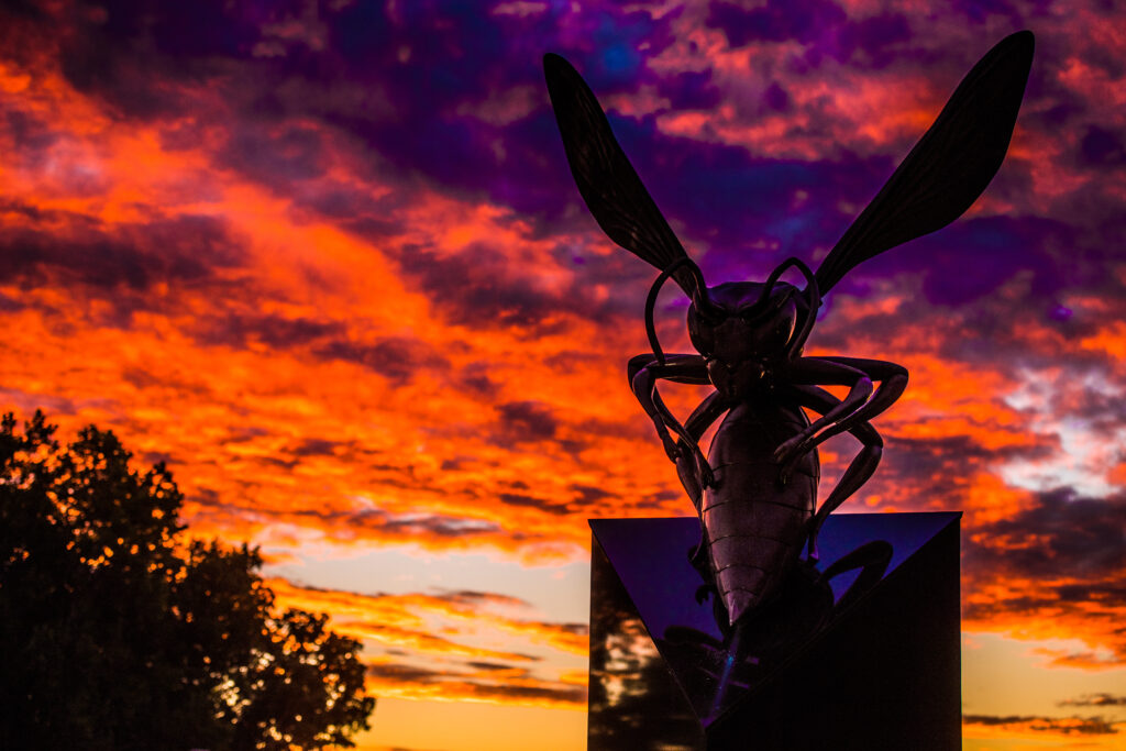 Lynchburg's hornet sculpture in front of a vibrant sunset.