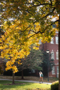 Fall
