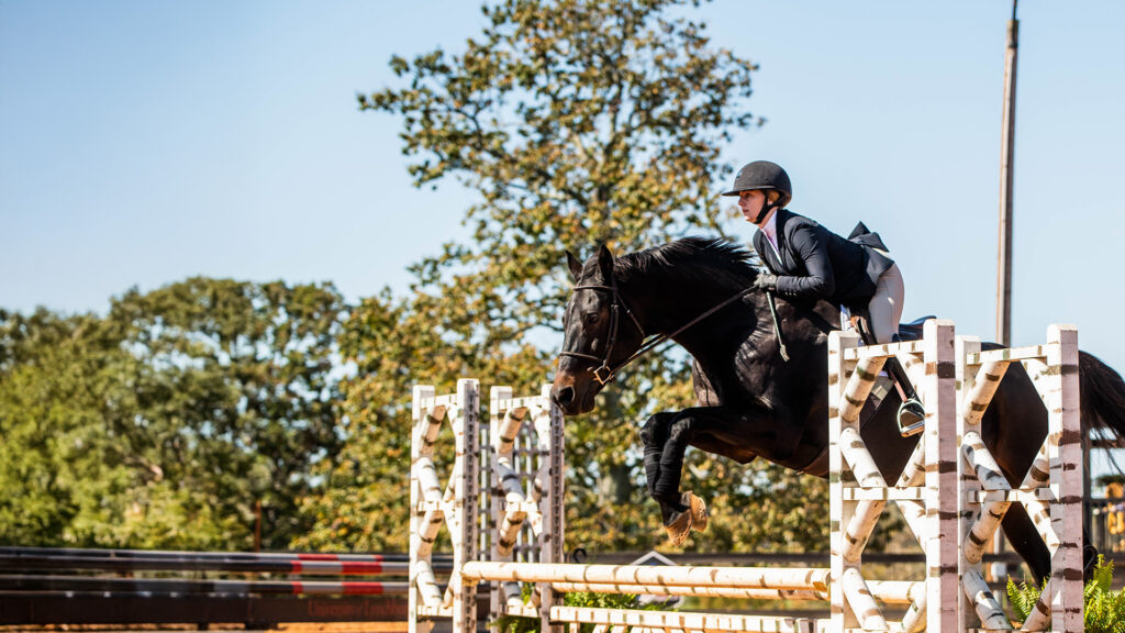 A male equestrian student leaps their horse over a pole